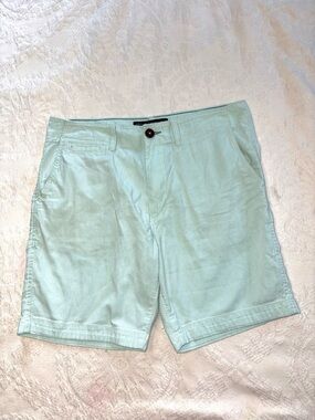 American Eagle Outfitters Light Mint Flat Front Men's Shorts